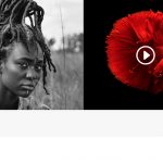 red fish & afro girl